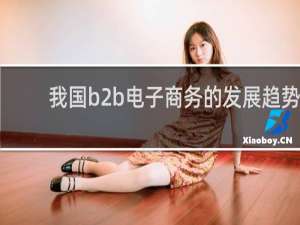 我国b2b电子商务的发展趋势