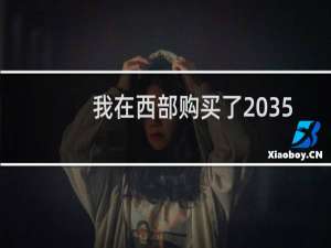 我在西部购买了 355.hk NS 不知道为什么自己改变了