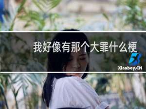 我好像有那个大罪什么梗？什么梗