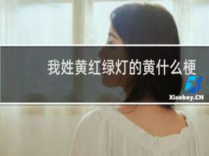 我姓黄红绿灯的黄什么梗