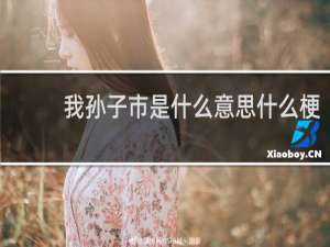 我孙子市是什么意思什么梗
