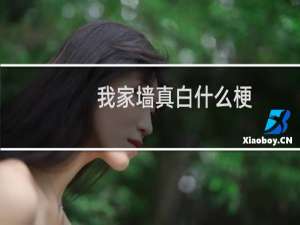 我家墙真白什么梗