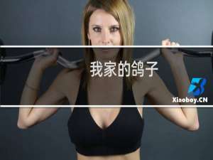 我家的鸽子