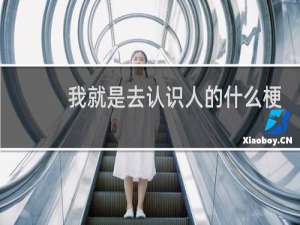 我就是去认识人的什么梗