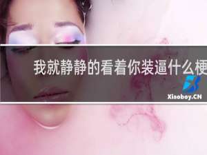 我就静静的看着你装逼什么梗