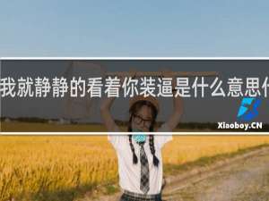 我就静静的看着你装逼是什么意思什么梗