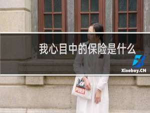 我心目中的保险是什么