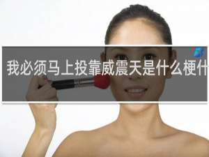 我必须马上投靠威震天是什么梗什么梗