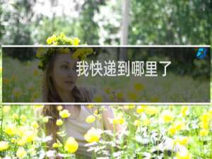 我快递到哪里了