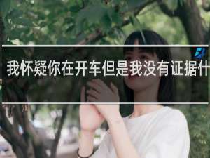 我怀疑你在开车但是我没有证据什么梗，我怀疑你在开车但是我没有证据是什么意思？什么梗