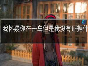 我怀疑你在开车但是我没有证据什么梗