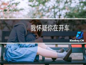 我怀疑你在开车 并且我有证据什么梗