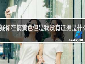 我怀疑你在搞黄色但是我没有证据是什么梗什么梗