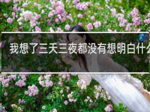 我想了三天三夜都没有想明白什么梗