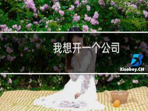 我想开一个公司