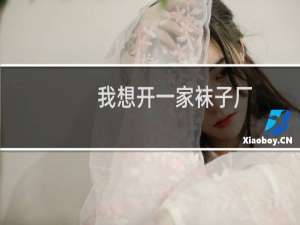 我想开一家袜子厂
