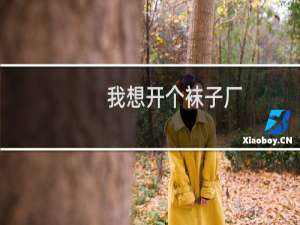 我想开个袜子厂