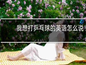 我想打乒乓球的英语怎么说