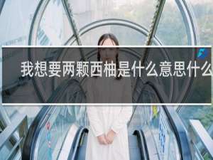 我想要两颗西柚是什么意思什么梗