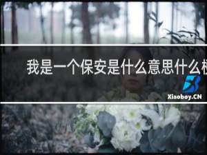 我是一个保安是什么意思什么梗