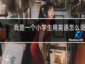 我是一个小学生用英语怎么说