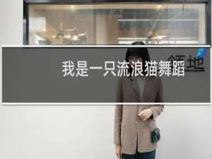 我是一只流浪猫舞蹈