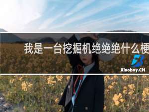 我是一台挖掘机绝绝绝什么梗