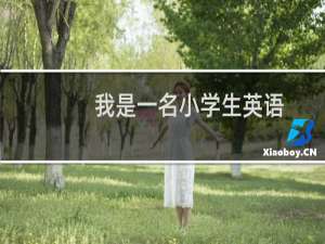 我是一名小学生英语