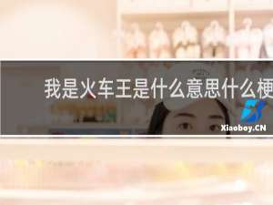 我是火车王是什么意思什么梗