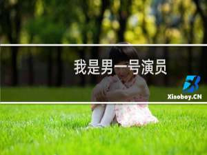 我是男一号演员