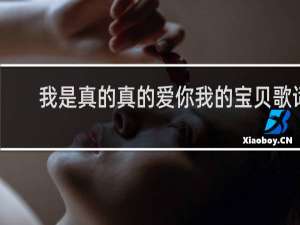 我是真的真的爱你我的宝贝歌词