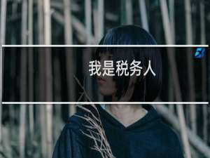 我是税务人