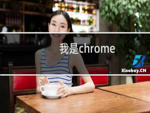 我是chrome