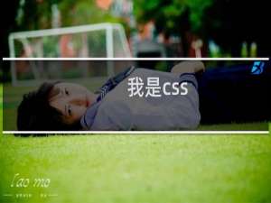我是css
