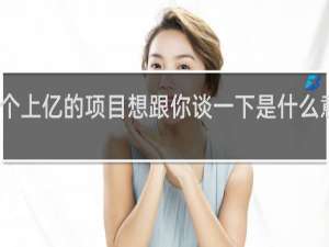 我有个上亿的项目想跟你谈一下是什么意思什么梗