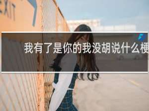 我有了是你的我没胡说什么梗