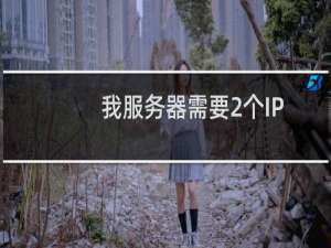 我服务器需要2个IP  你那边给我增加一个IP