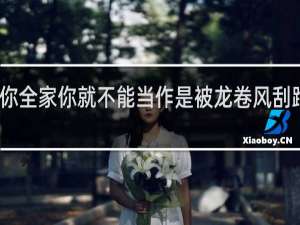 我杀了你全家你就不能当作是被龙卷风刮跑了吗什么梗