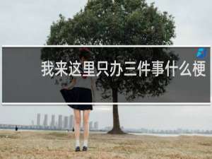 我来这里只办三件事什么梗