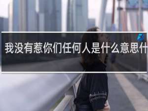 我没有惹你们任何人是什么意思什么梗