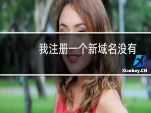 我注册一个新域名没有过-域名及账户问题