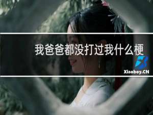我爸爸都没打过我什么梗