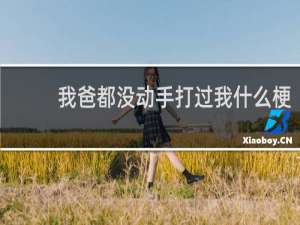 我爸都没动手打过我什么梗