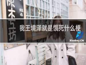 我王境泽就是饿死什么梗