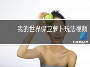 我的世界保卫萝卜玩法视频