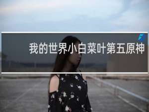 我的世界小白菜叶第五原神