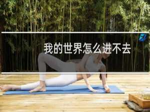 我的世界怎么进不去