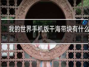 我的世界手机版干海带块有什么用