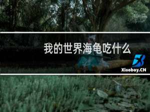 我的世界海龟吃什么