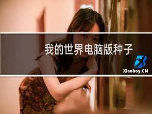 我的世界电脑版种子